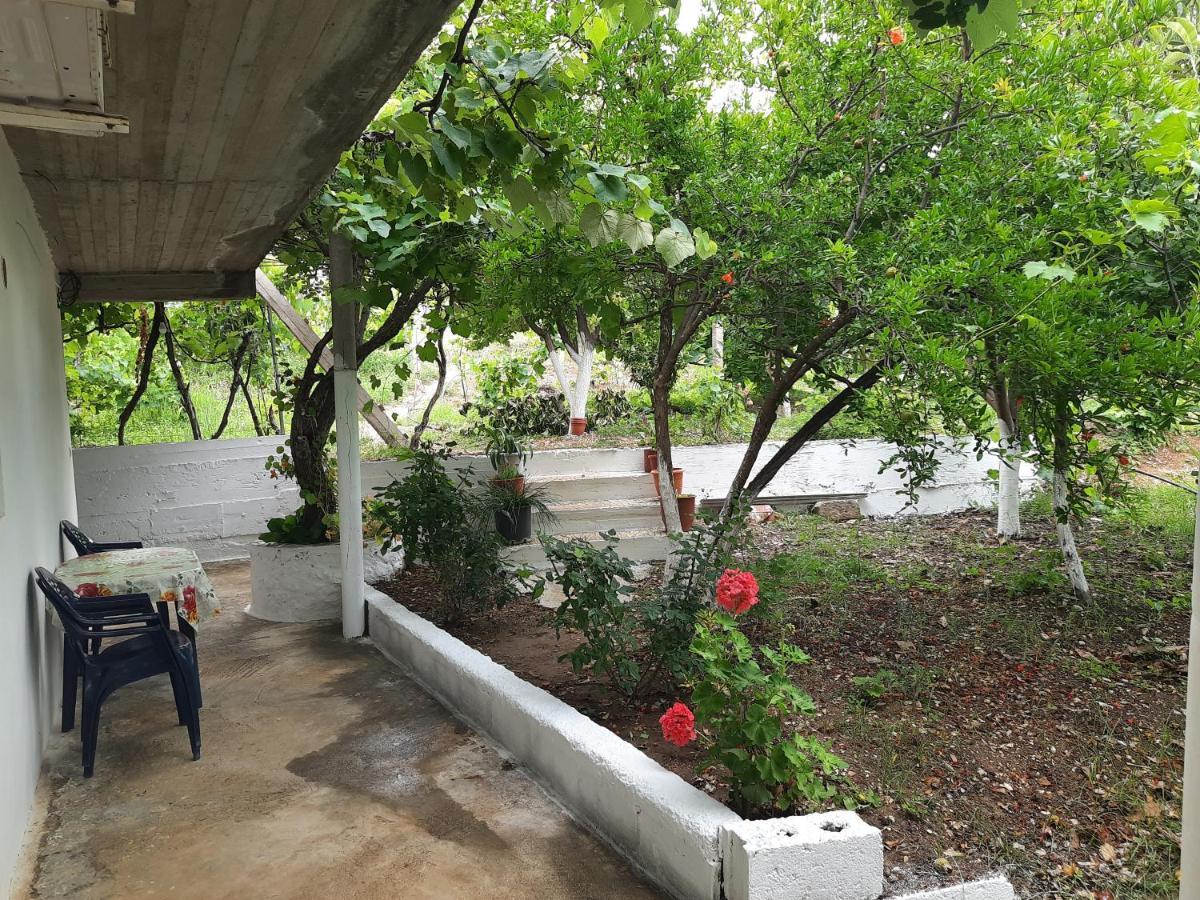 בורש Hillside Apartments מראה חיצוני תמונה