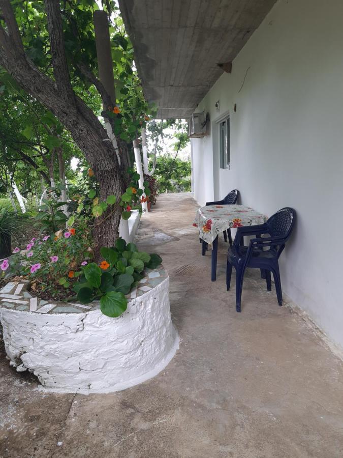 בורש Hillside Apartments מראה חיצוני תמונה