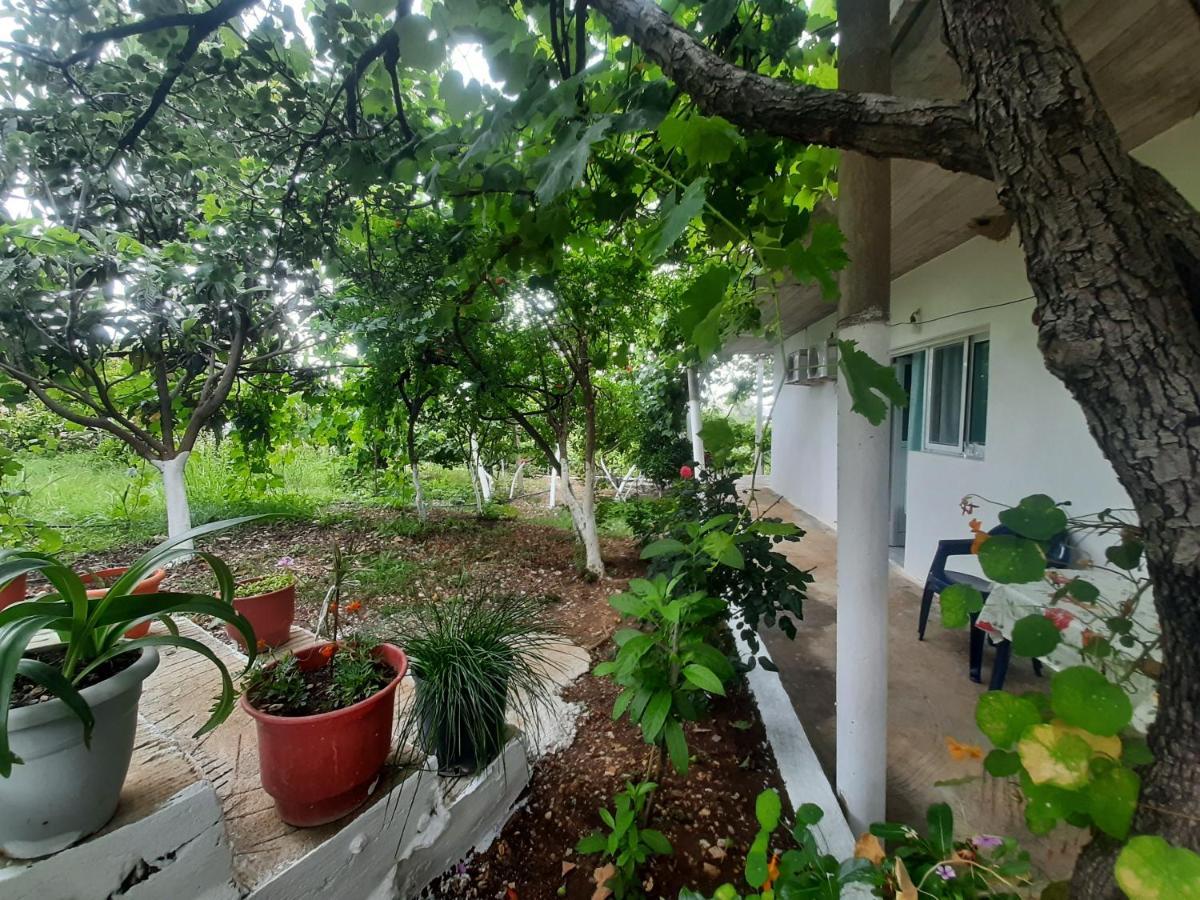 בורש Hillside Apartments מראה חיצוני תמונה