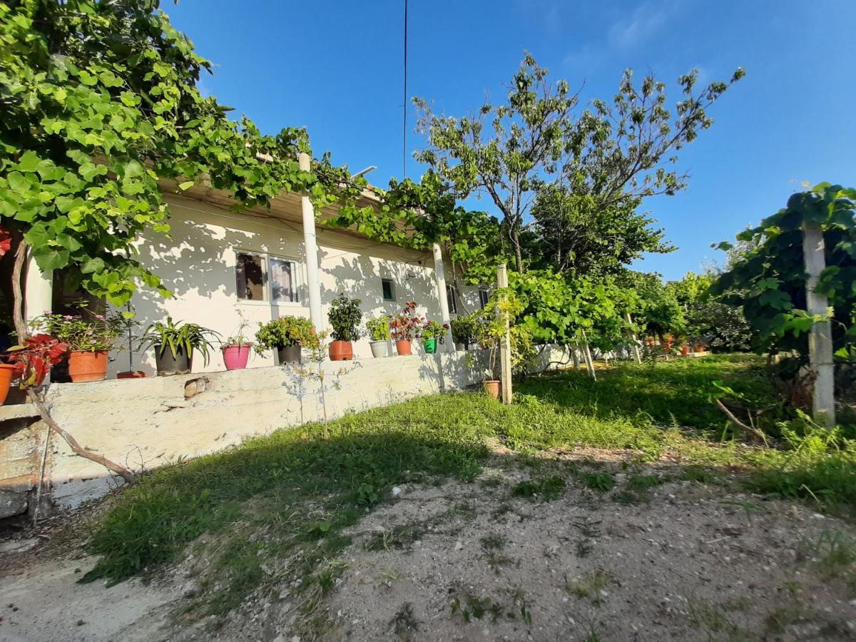 בורש Hillside Apartments מראה חיצוני תמונה